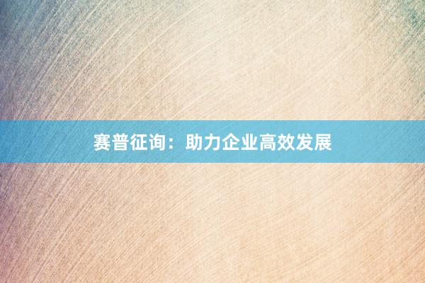 赛普征询：助力企业高效发展